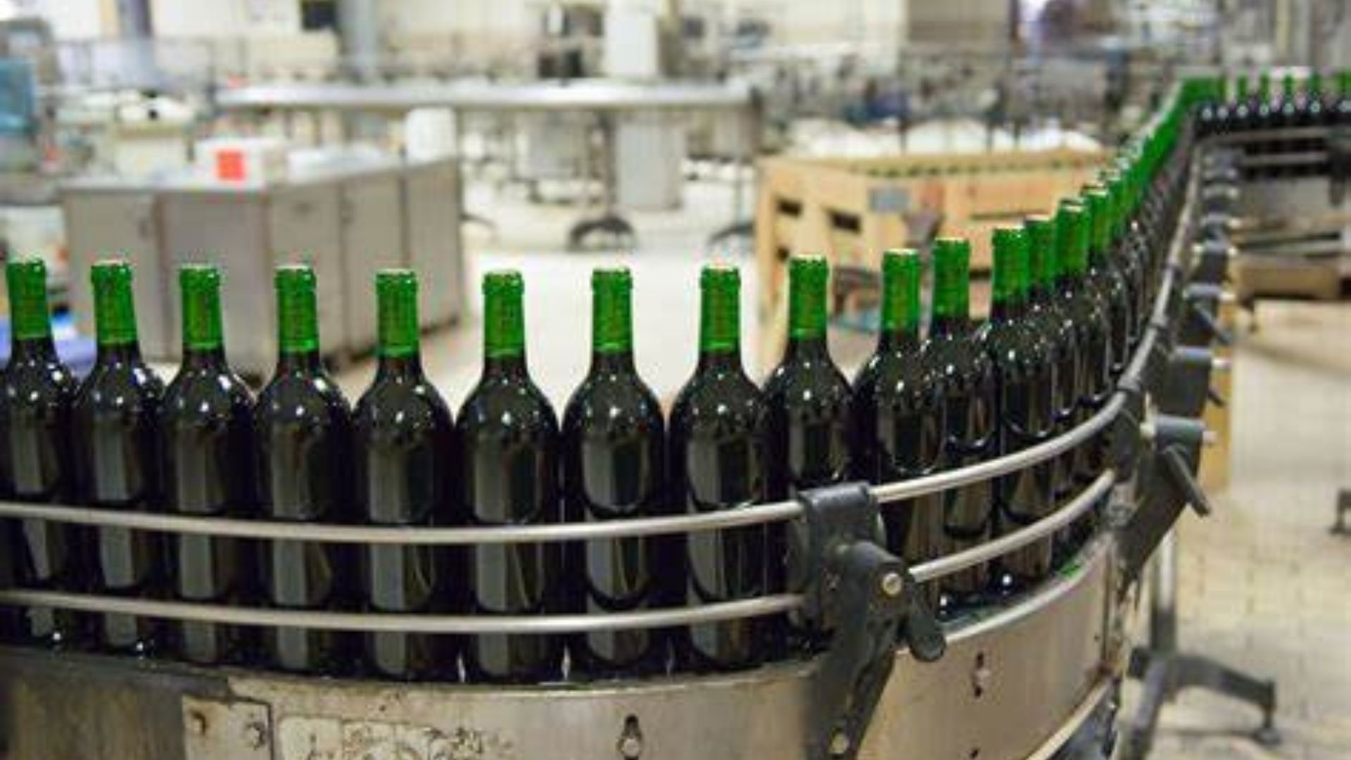 Wine Factory: Key Characteristics and Components