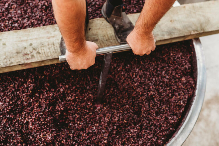 Winemaker: A Step-by-Step Guide