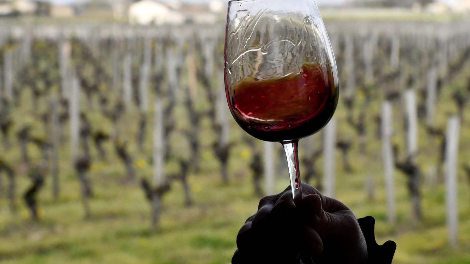 Global Warming Is Reshaping the Wine Industry
